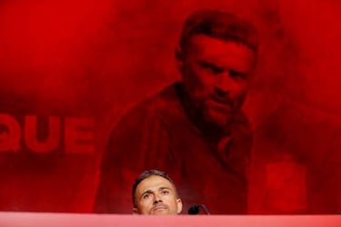 Spain manager Luis Enrique requests 25% salary cut