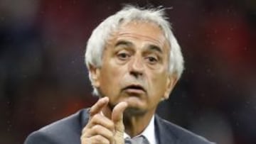 Halilhodzic gesticula durante el partido contra Alemania.