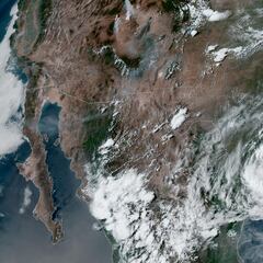 Tropical Storm Francine: When will it hit the US? Will it become a hurricane?