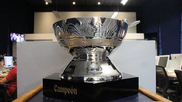 Calendario, fechas y dónde se jugará la Serie del Rey 2023 entre Algodoneros y Pericos