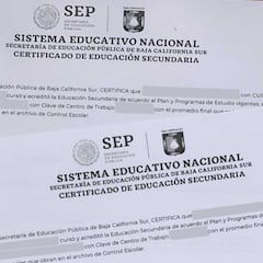 SEP: así puedes descargar el certificado de primaria y secundaria por internet