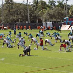 Dolphins permanecerán en el vestidor durante himno nacional