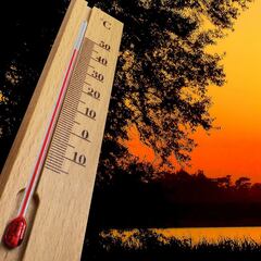 ¿Qué es la canícula, cuándo comienza y en qué estados afecta más?