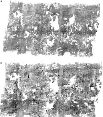 Detalle de los papiros de Herculano