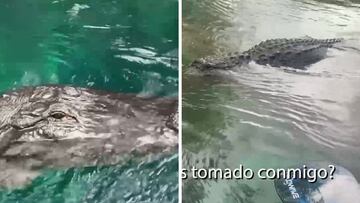 La reacción de una paddle surfista al ver un cocodrilo