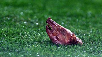 La cabeza de cochinillo que le lanzaron a Figo en el Camp Nou.