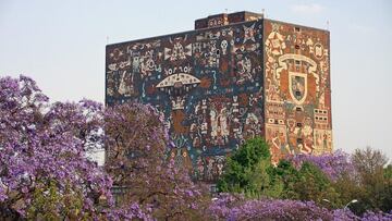 Curso gratuito de inglés de la UNAM: cuándo comienza y cómo registrarse