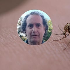 Un científico del CSIC echa por tierra los supuestos remedios contra mosquitos: “No os dejéis engañar”