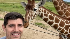 Imagen de Thibaut Courtois junto a dos jirafas.