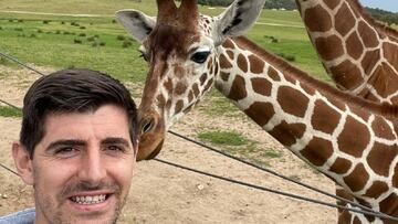 Imagen de Thibaut Courtois junto a dos jirafas.