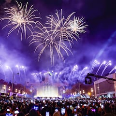 El motivo por el que no deberías lanzar petardos en Nochevieja y Año Nuevo si estás cerca de un perro