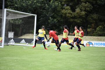 Las dirigidas por Carlos Paniagua iniciaron sus entrenamientos en la Sede Deportiva de la Federación Colombiana de Fútbol en Bogotá.