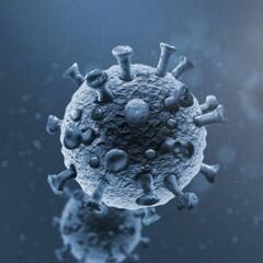 ¿Anticuerpos monoclonales pueden proteger del coronavirus?