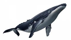 Imágenes de Endless Ocean