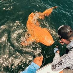 Hallazgo histórico de dos pescadores en Costa Rica: descubren un tiburón con una característica nunca antes vista