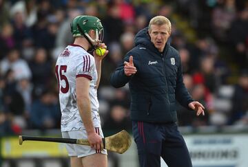 Quienes entienden de hurling, deporte de origen celta, catalogan a Shefflin como el mejor de la historia. Tanto que su mote es King Henry. Se caracteriz por su estilo de juego, su dominio, pero sobre todo por su competitividad y su liderazgo. Actualmente es el seleccionador de hurling de Galway.
