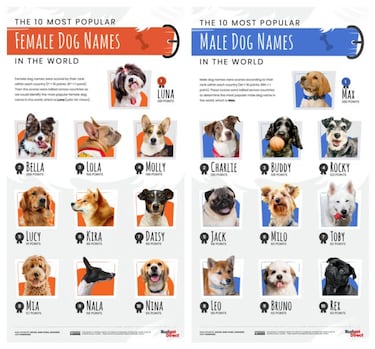 Los nombres de perro más populares en cada país