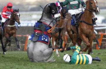 La cara del caballo Campeador lo dice todo mientras observa sentado a su jockey, Barry Geraghty, morder el c谷sped en la Fred Winter Handicap Hurdle Race.