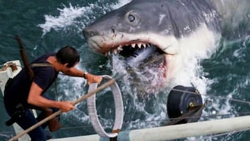 Casi 50 años después de la legendaria película, Steven Spielberg pide perdón a los tiburones