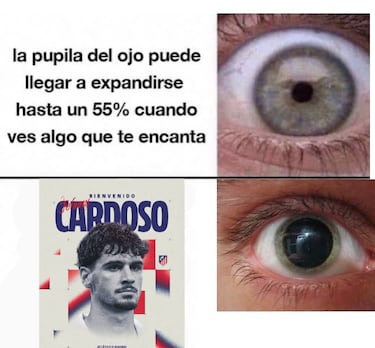 Los mejores memes del fin de semana