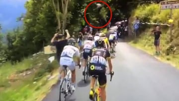 Suicide No Hander sobre el grupo de escapados del Tour de Francia