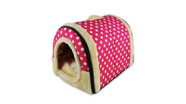 10 accesorios que agradecern nuestras mascotas