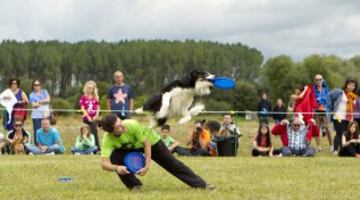 Una pareja mujer-perro participa en la modalidad 'freestyle' durante las competiciones oficiales y clasificatorias para los Campeonatos Europeos y los Mundiales de 'disc-dog', un deporte que hace correr, volar e incluso bailar a los perros al ritmo de la música para capturar un frisbee.