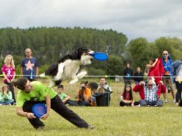 Una pareja mujer-perro participa en la modalidad 'freestyle' durante las competiciones oficiales y clasificatorias para los Campeonatos Europeos y los Mundiales de 'disc-dog', un deporte que hace correr, volar e incluso bailar a los perros al ritmo de la música para capturar un frisbee.