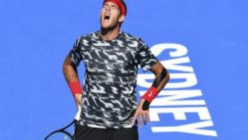 Juan Martín del Potro