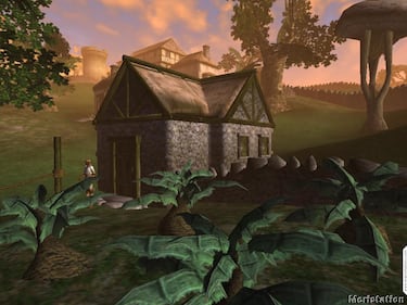 The Elder Scrolls III: Morrowind (PC)
