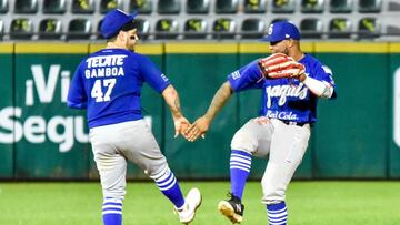 Yaquis derrotó a Cañeros en la Liga Mexicana del Pacífico