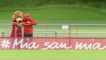 Una charla entre un oso y un humano