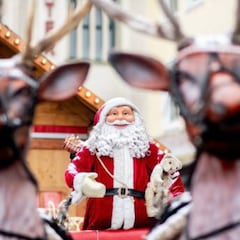 Not only Rudolph: These are the names of Santa’s reindeer