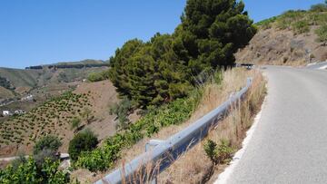 De ruta en bici por la Axarqu¨ªa malague?a: Ruta de la Pasa (II)