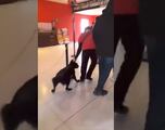 Trabajador de Cinemex es señalado por sacar a perrito con jaloneos