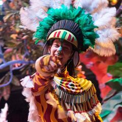 ¿Cuáles son los carnavales más importantes de España?