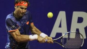 El tenista espa&ntilde;ol David Ferrer.