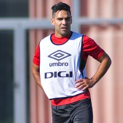 Francisco: “Falcao es como la copa de un pino”