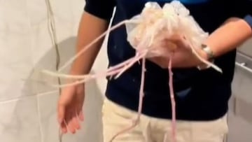 Lo que ha encontrado en un armario de la cocina es de película de terror: “Ni se acordaba”