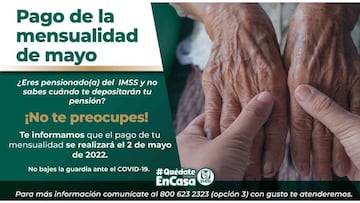 pensionados imss