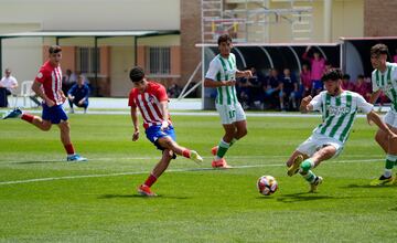 El Betis disput¨® la final del a?o pasado ante el Atl¨¦tico de Madrid.