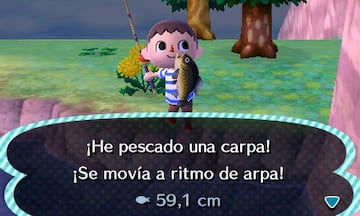 Captura de pantalla - Animal Crossing: New Leaf (3DS)