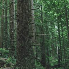 ¡Biker vuelve al lugar donde se fracturó dos vértebras y graba este video!
