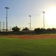 Texas A&M player shot while in bullpen