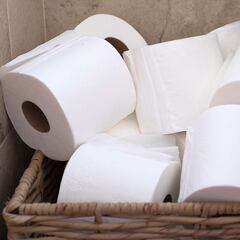 Adiós al papel higiénico: la alternativa que triunfa en Asia y podría revolucionar Estados Unidos