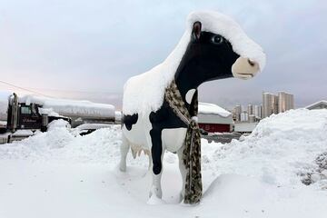 La nieve reposa sobre la escultura de una vaca en Lowville, Nueva York.