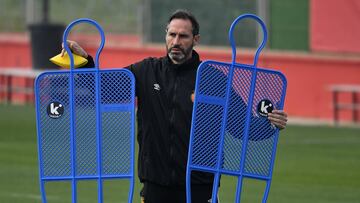 Vicente Moreno, entrenador del Mallorca.