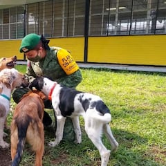 Adopta un perrito en el AIFA: Requisitos e historia del refugio de ‘Lomitos’