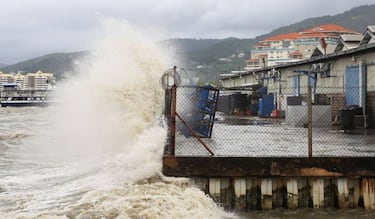 Alerta por Marea Roja en Yucatán: Cofepris confirma que es tóxica y lanza medidas sanitarias