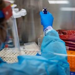 Rusia apunta una nueva teoría en el origen del coronavirus